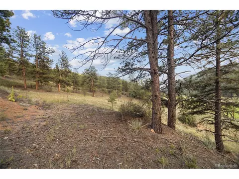 Brynmawr Rd, Pine, CO 80470 photo 23