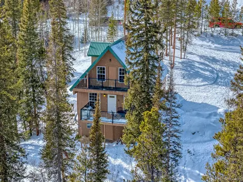436 Golden Hills Rd, Alma, CO 80420