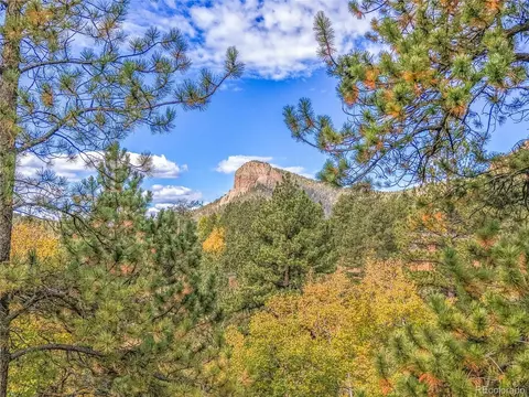 Other - 11864 S Stallion Dr, Pine, CO 80470 photo 2 of 7