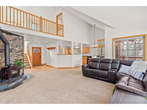 228 Beaver Trl, Bailey, CO 80421 photo 9