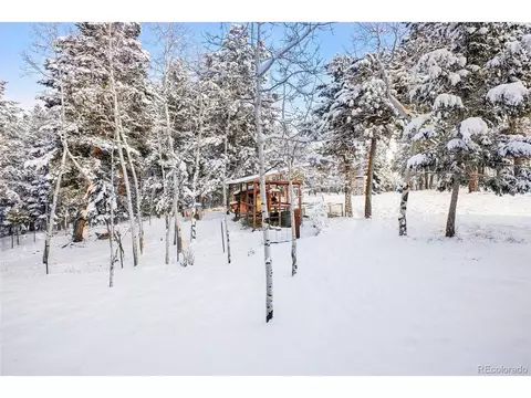 228 Beaver Trl, Bailey, CO 80421 photo 32