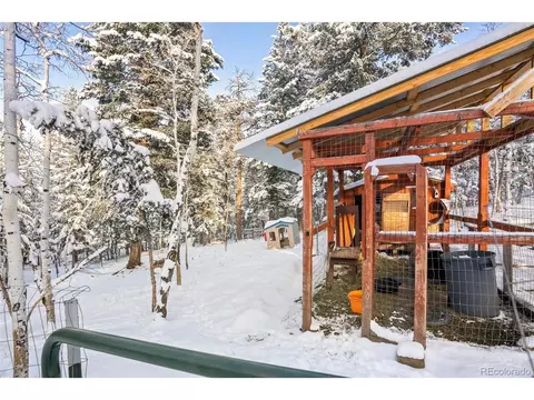228 Beaver Trl, Bailey, CO 80421 photo 33