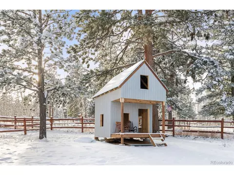 228 Beaver Trl, Bailey, CO 80421 photo 28