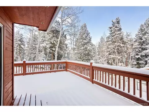 228 Beaver Trl, Bailey, CO 80421 photo 27