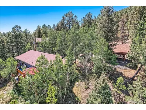 51 High View Ln, Bailey, CO 80421 photo 29