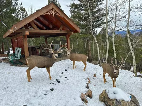 51 High View Ln, Bailey, CO 80421 photo 26