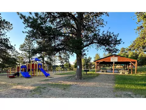 51 High View Ln, Bailey, CO 80421 photo 36