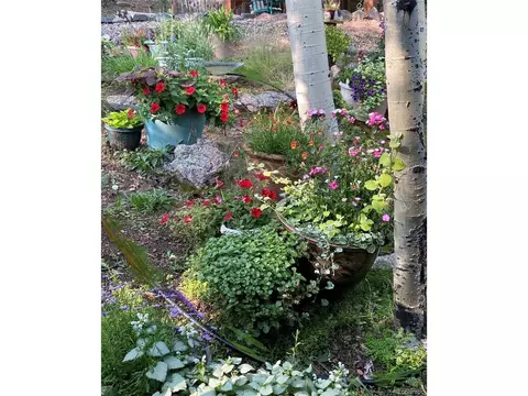 51 High View Ln, Bailey, CO 80421 photo 33
