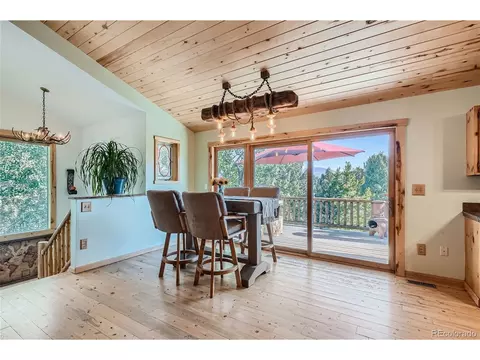 51 High View Ln, Bailey, CO 80421 photo 9