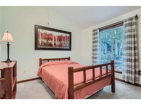 51 High View Ln, Bailey, CO 80421 photo 21