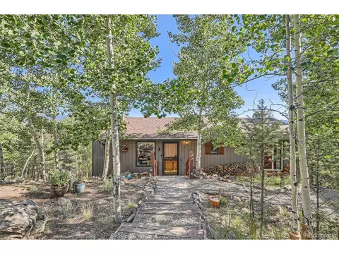 51 High View Ln, Bailey, CO 80421 photo 3