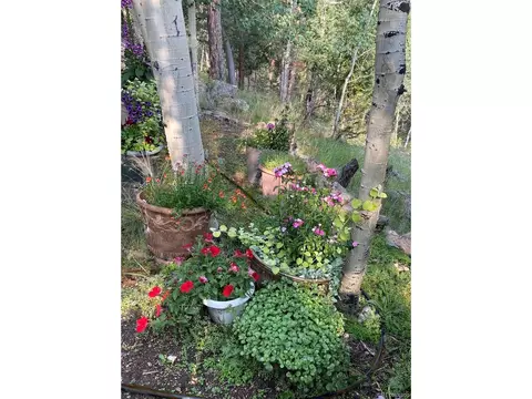 51 High View Ln, Bailey, CO 80421 photo 34