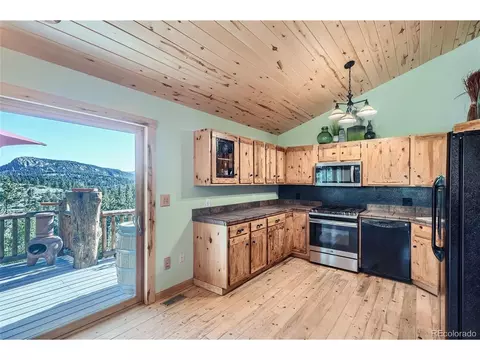 51 High View Ln, Bailey, CO 80421 photo 10