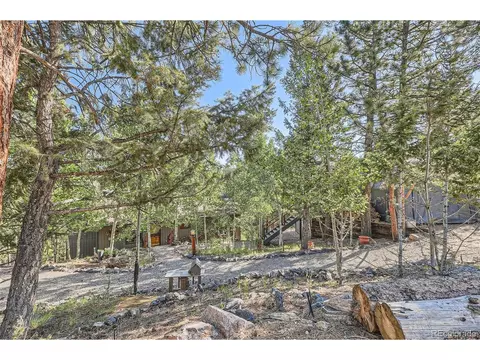 51 High View Ln, Bailey, CO 80421 photo 4