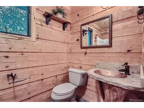 51 High View Ln, Bailey, CO 80421 photo 20