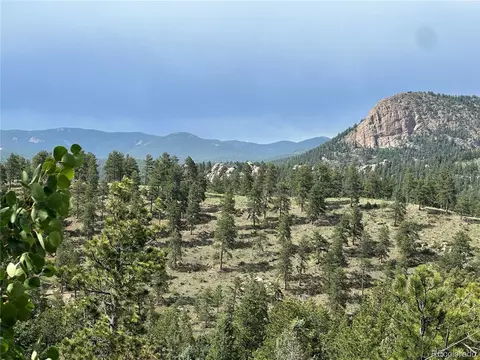 51 High View Ln, Bailey, CO 80421 photo 6