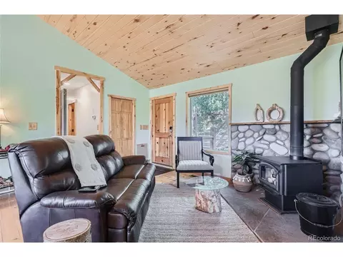 51 High View Ln, Bailey, CO 80421 photo 8