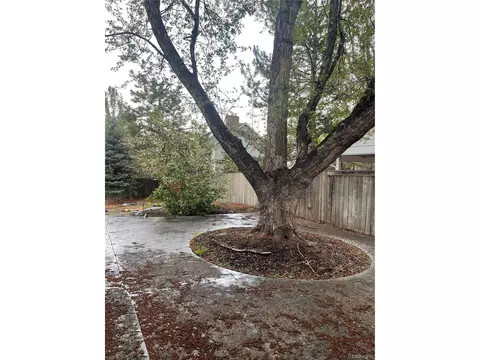 12381 E Vassar Dr, Aurora, CO 80014 photo 43