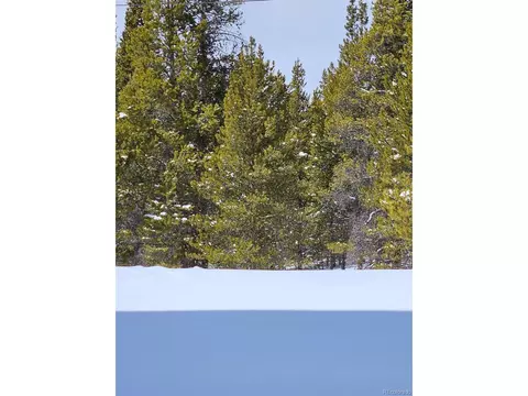 5229 Iron Hat, Leadville, CO 80461
