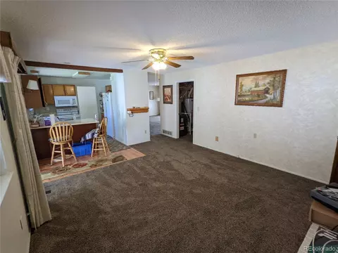 3755 E 115th Ave, Thornton, CO 80233 photo 12