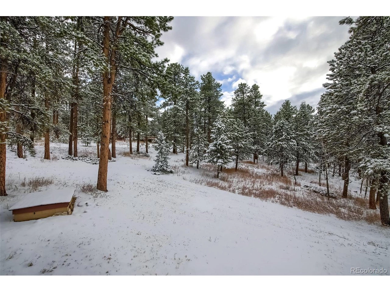 9867 Hurty Ave, Conifer, CO 80433 photo 28