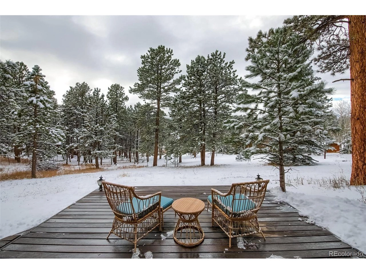 9867 Hurty Ave, Conifer, CO 80433 photo 29