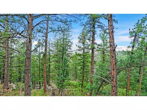 15071 S Delta Ln, Pine, CO 80470 photo 23
