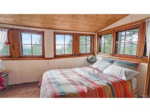 15071 S Delta Ln, Pine, CO 80470 photo 6