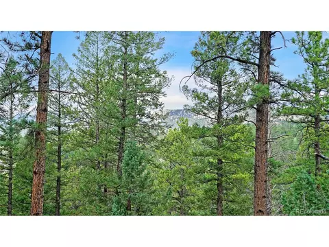 15071 S Delta Ln, Pine, CO 80470 photo 22