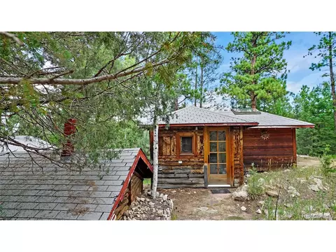 15071 S Delta Ln, Pine, CO 80470 photo 14