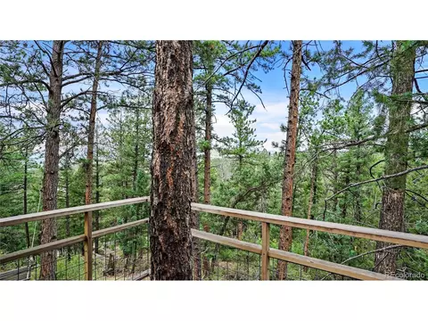 15071 S Delta Ln, Pine, CO 80470 photo 19
