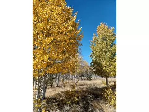 600 Oxen Ct, Hartsel, CO 80449