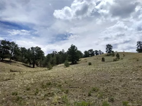 Kusha Rd, Hartsel, CO 80449 photo 6