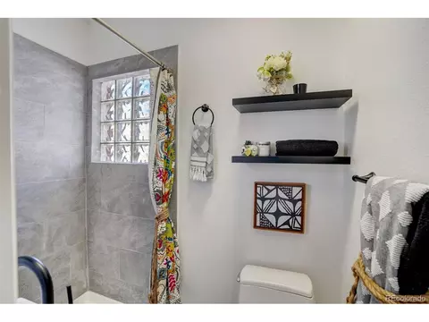 24 Exposition Ave, Denver, CO 80209 photo 21