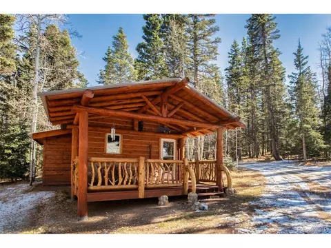 55 Worley Rd, Divide, CO 80814