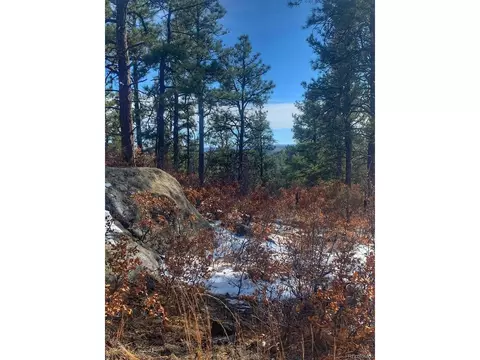 122 Spanish Highlands, Boncarbo, CO 81024