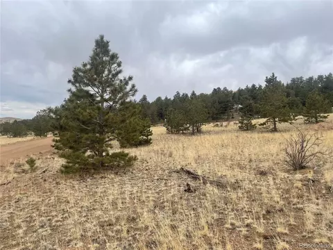 284 Vireo Way, Hartsel, CO 80449