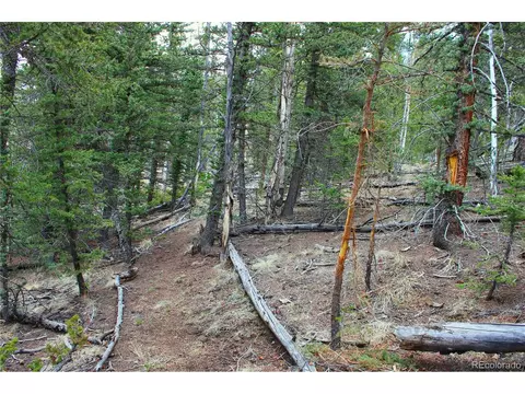 580 Ouray Trl, Como, CO 80432 photo 7