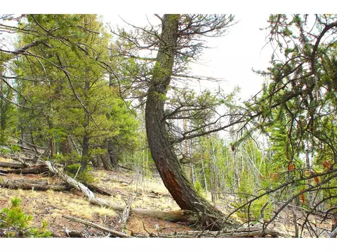 580 Ouray Trl, Como, CO 80432 photo 12