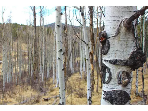 580 Ouray Trl, Como, CO 80432 photo 4