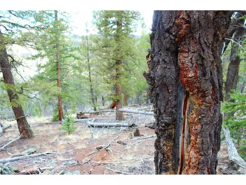 580 Ouray Trl, Como, CO 80432 photo 8
