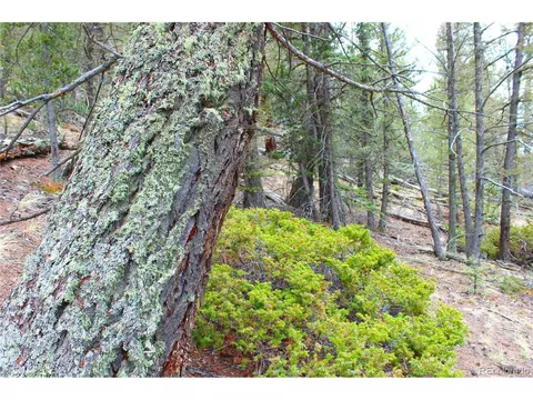 580 Ouray Trl, Como, CO 80432 photo 5