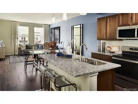 18760 E 66th Pl, Denver, CO 80249 photo 18