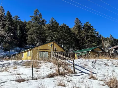 516 Sleepy Hollow Dr, Bailey, CO 80421 photo 2