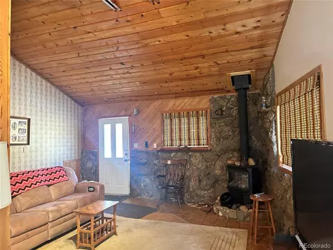 516 Sleepy Hollow Dr, Bailey, CO 80421 photo 8
