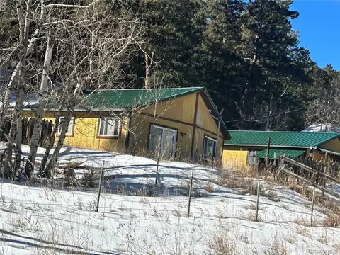 516 Sleepy Hollow Dr, Bailey, CO 80421