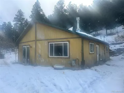 516 Sleepy Hollow Dr, Bailey, CO 80421 photo 4