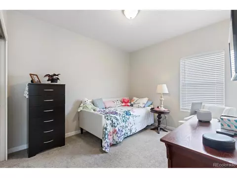 1870 Paley Dr, Windsor, CO 80550 photo 5