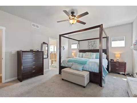 1870 Paley Dr, Windsor, CO 80550 photo 19