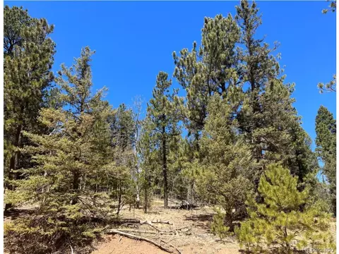 121 W Lake Dr, Divide, CO 80814